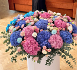 Love in Bloom