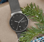 Мужские наручные часы Skagen SKW6778