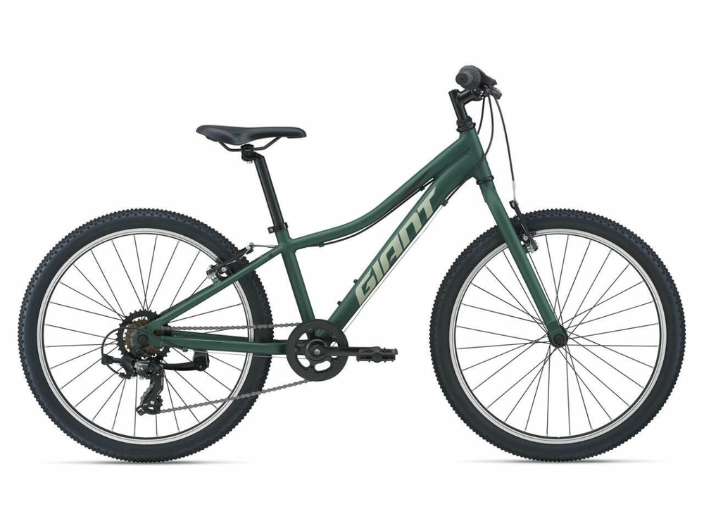 Подростковый велосипед Giant XTC Jr 24 Lite (2021)
