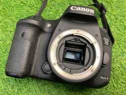Canon 7D Mark II 28.000 кадров