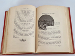 "Из жизни русской природы. Зоологические очерки и рассказы". М.Н.Богданов. 1889г.