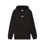 Мужская толстовка PUMA PL Graphic Hoodie