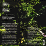 Sam Amidon / Lily-O (LP)