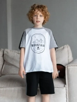 Спортивный костюм для мальчика с шортами в школу