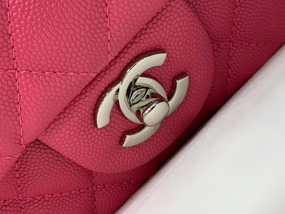 Chanel Bag 20 cm