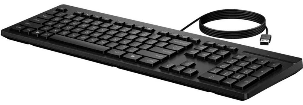 Клавиатура HP AY2Y7AA черный