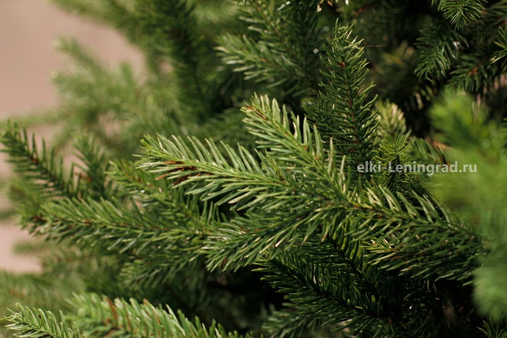 Искусственная ель «Берген» (Литая хвоя) 180 см / 1.8 м