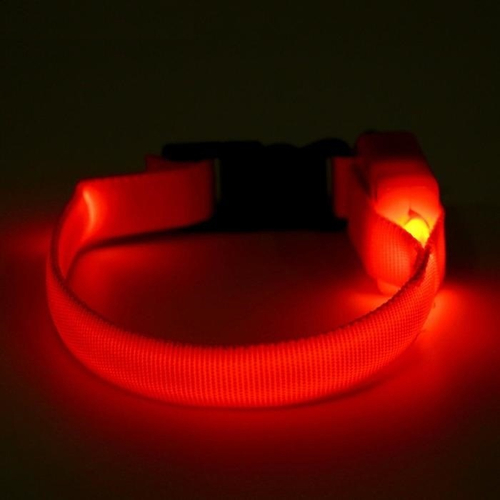 Ошейник светящийся узкий для небольших собак, 3 режима, 26см, Оранжевый