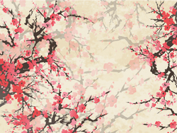 SAKURA 6