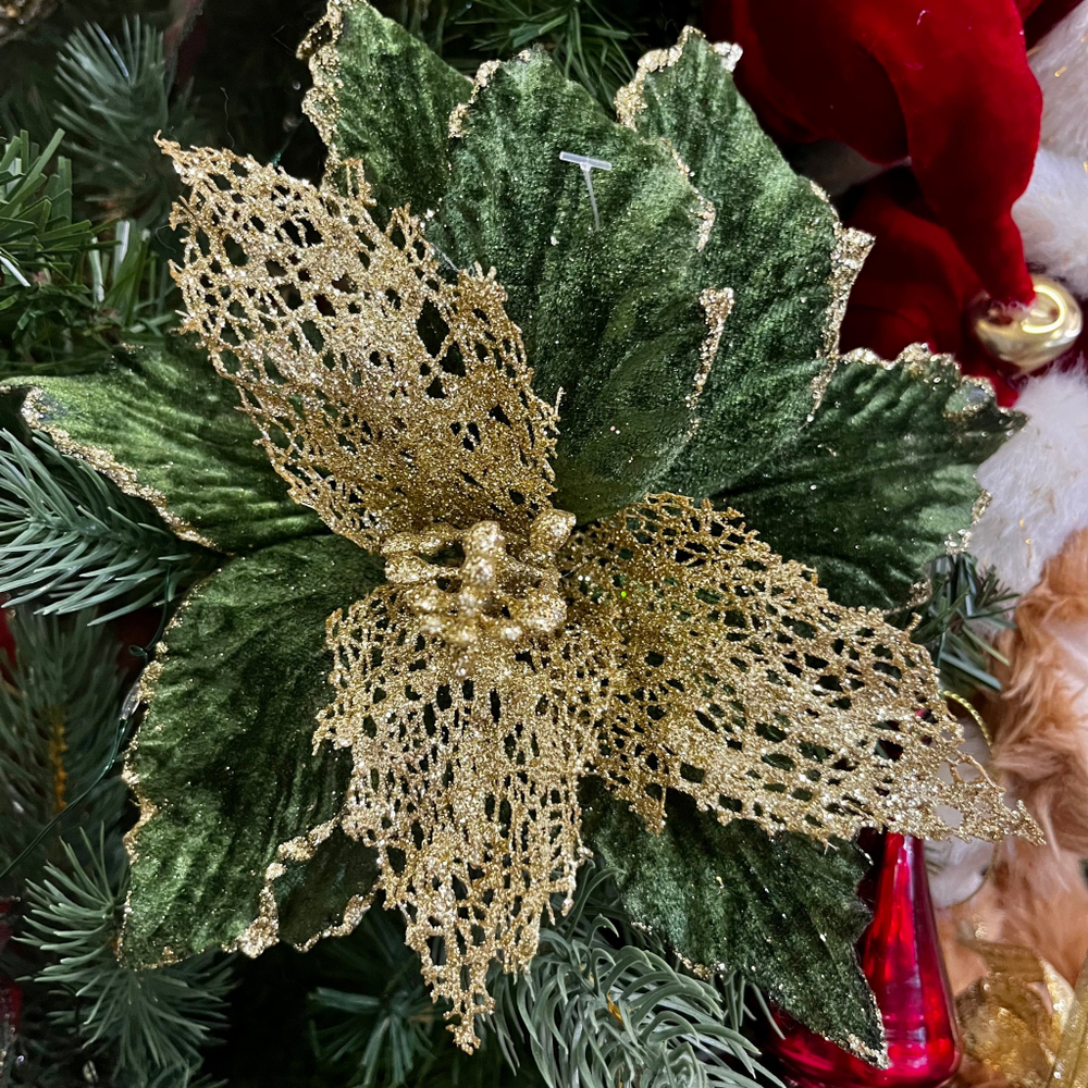 Зелёная пуансеттия