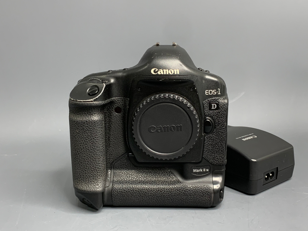 Canon EOS 1D Mark II N 321.000 кадров