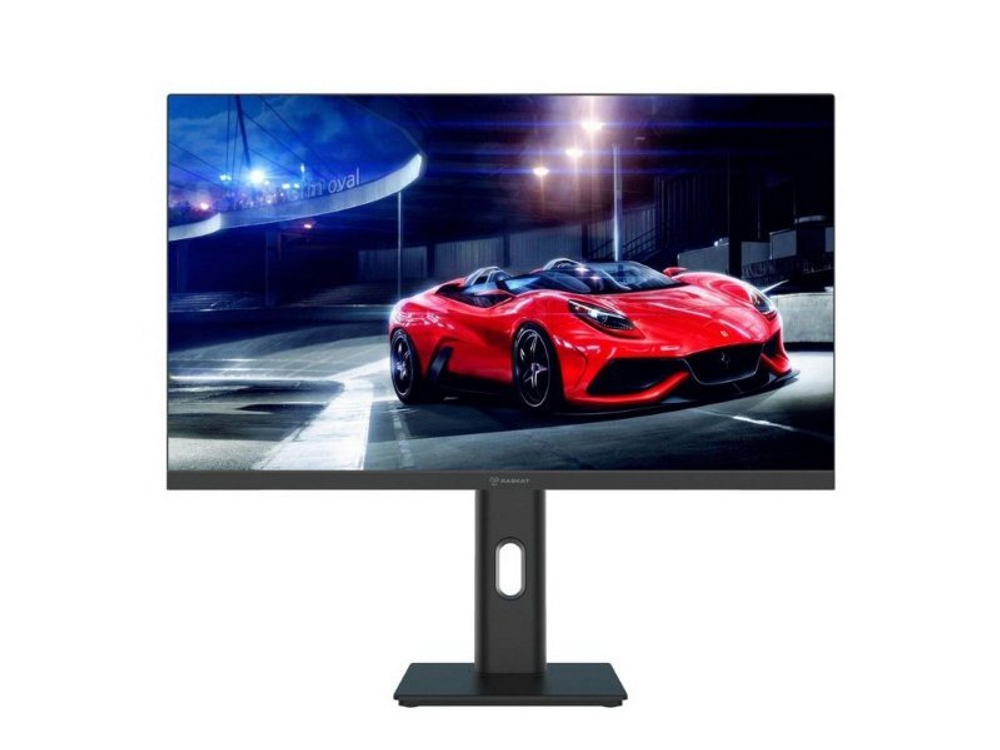 Монитор Raskat I24F10DAP