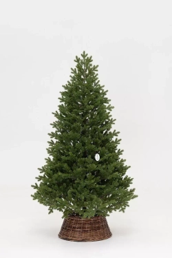 Искусственная елка Измайловская 270 см., 100% литая хвоя, 2400 мульти LED ламп, 10 режимов, ЕлкиТорг (57270)