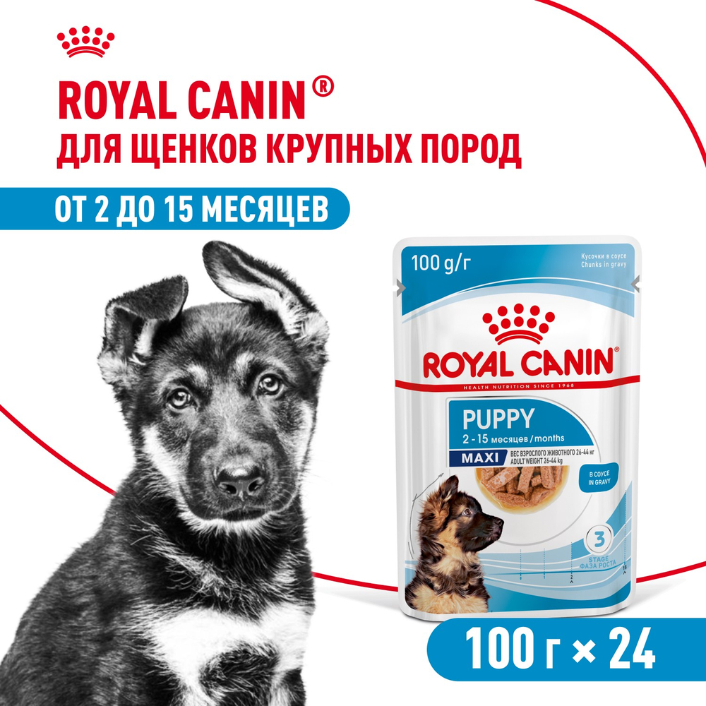 Royal Canin Maxi Puppy Влажный корм для щенков крупных пород в возрасте до 15 месяцев 100г