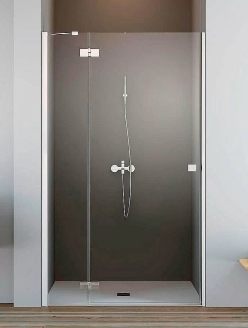 Душевая дверь Radaway Essenza New DWJ 100