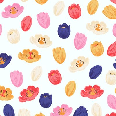 Разноцветные бутоны тюльпанов