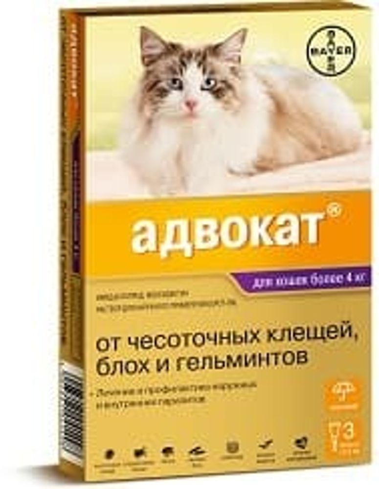 Bayer Адвокат для кошек 4-8 кг (3 пипетки х 0,8 мл)