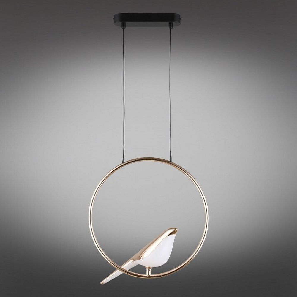 Подвесной светильник Aployt Astor APL.822.06.10