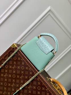 Louis Vuitton Capucines Mini