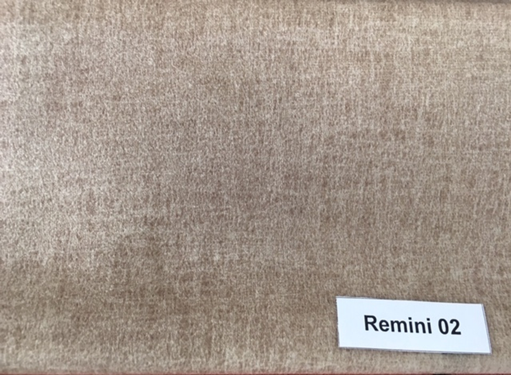 Remini 02