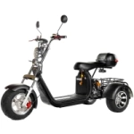 Электроскутер трехколесный CityCoco Skyboard BR-60 PRO VIP 2000W 20AH/60V Trike