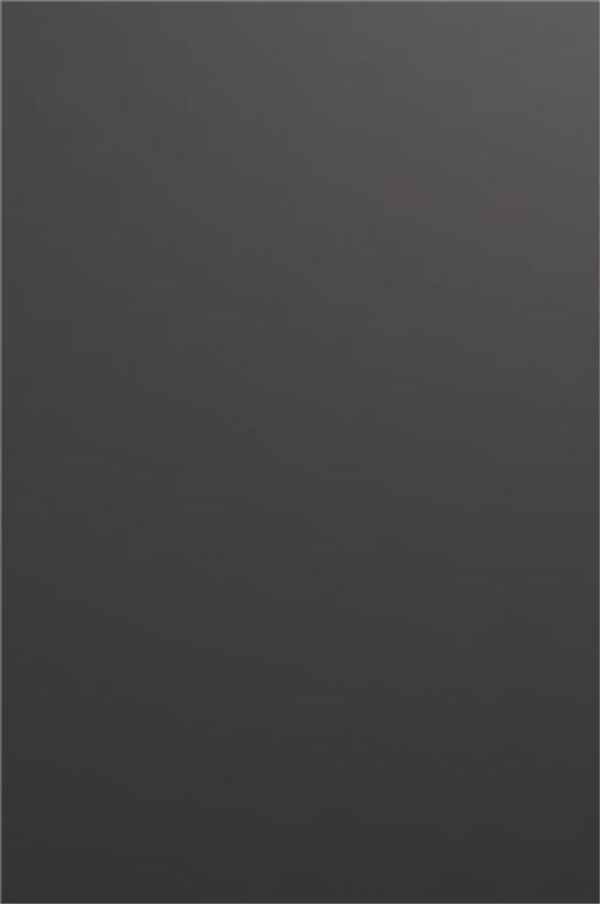 Бамбуковая эко-панель Темное зеркало