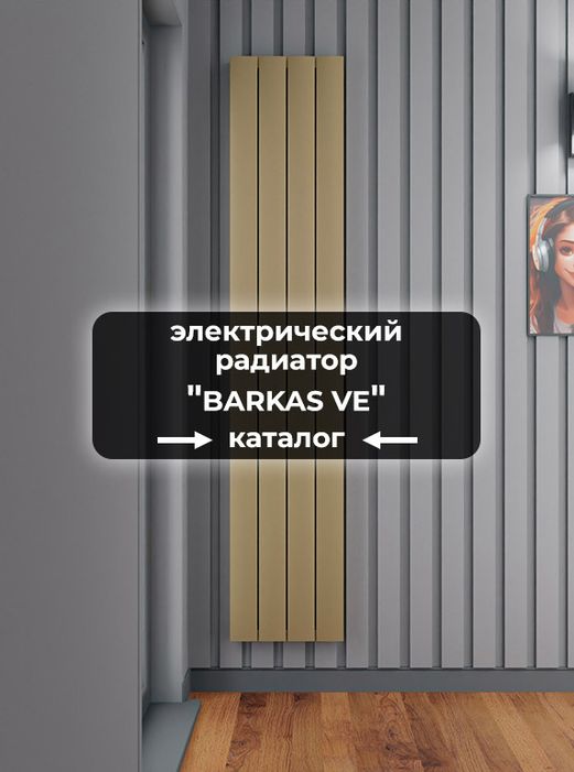 Электрические радиаторы Axxinot Barkas VE