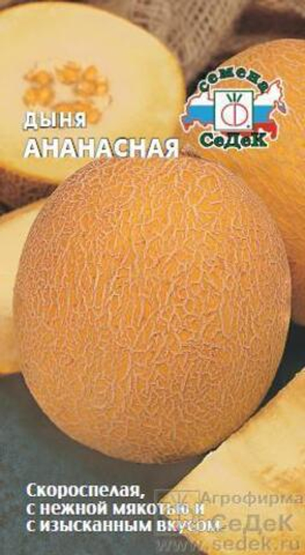 Дыня Ананасная 0,5 гр Седек