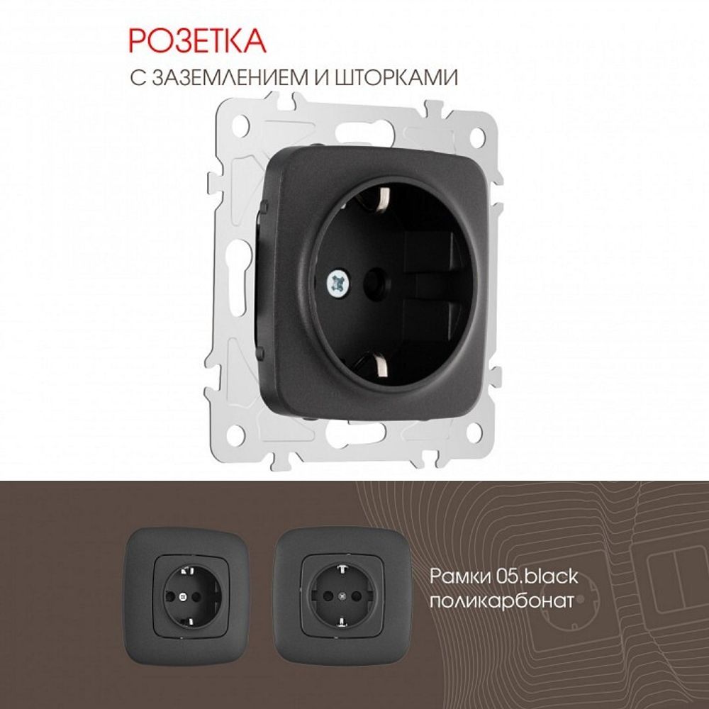 Розетка с заземлением и со шторкой, без рамки Arte Milano am-205 205.40-1.black