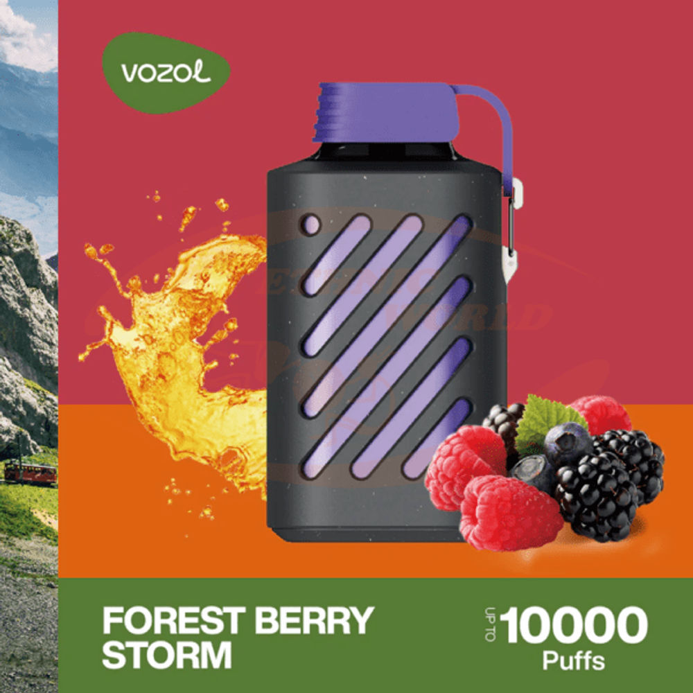 VOZOL GEAR 10000 - Forest Berry Storm (5% nic)