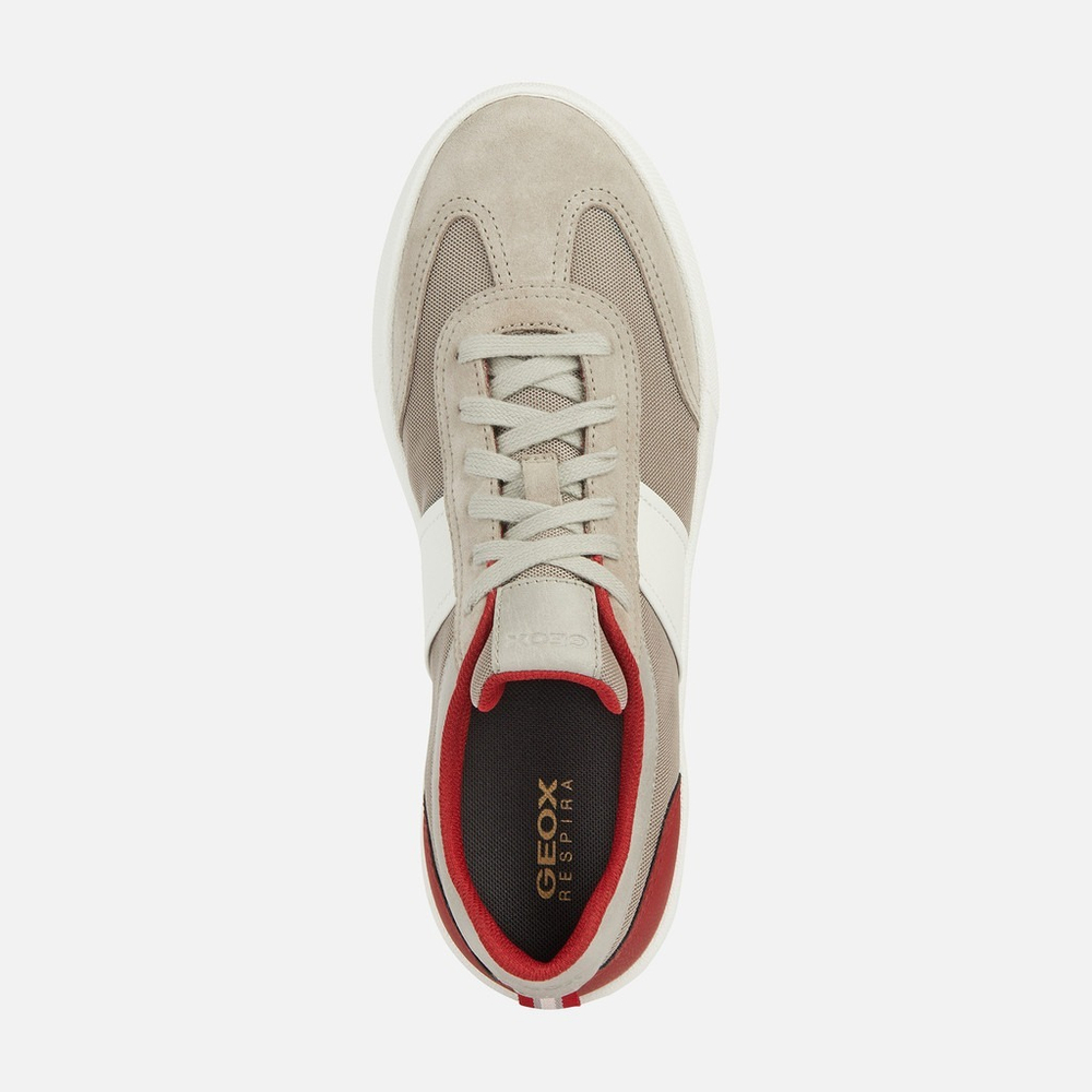 GEOX / Кеды