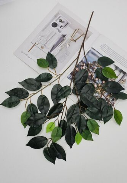 Фикус премиум / Арт 1002