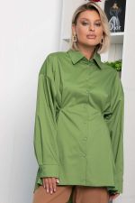 Рубашка Антария (зеленое яблоко) Б14189-5М LT Collection