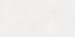Evolution blanco Плитка настенная 48030R 40x80 матовый обрезной
