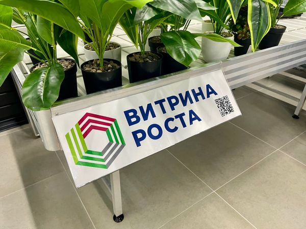 Как разместить рекламу в магазине: практическое руководство для цветочных магазинов и садовых центров