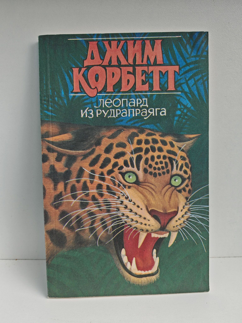 Леопард из Рудрапраяга