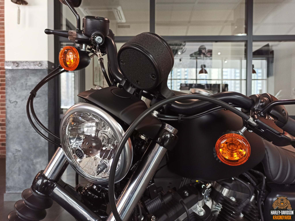 Iron 883 (XL883N) Harley-Davidson® Sportster® 2020