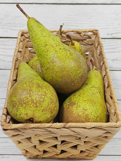 Груши Конференция Гигант