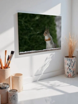 Картина на стену 40 X 50 Белка