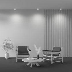 Потолочный светильник светодиодный Maytoni Planet C009CW-L12W