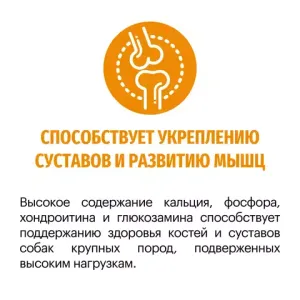 Сухой корм для взрослых собак средних и крупных пород, Karmy Active Medium & Maxi, с повышенным уровнем физической активности, с индейкой