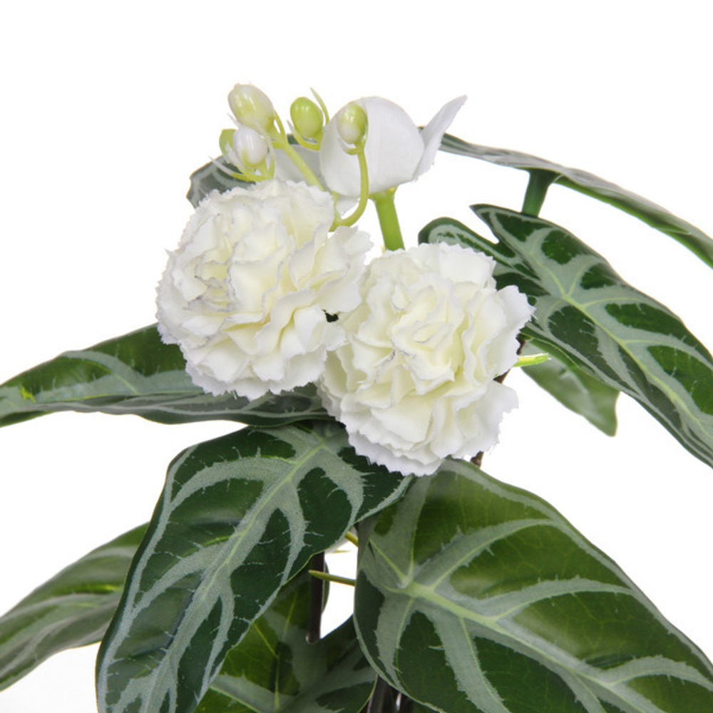 Цветочная композиция в стеклянном горшке «Сингониум» 10*22см HL-18