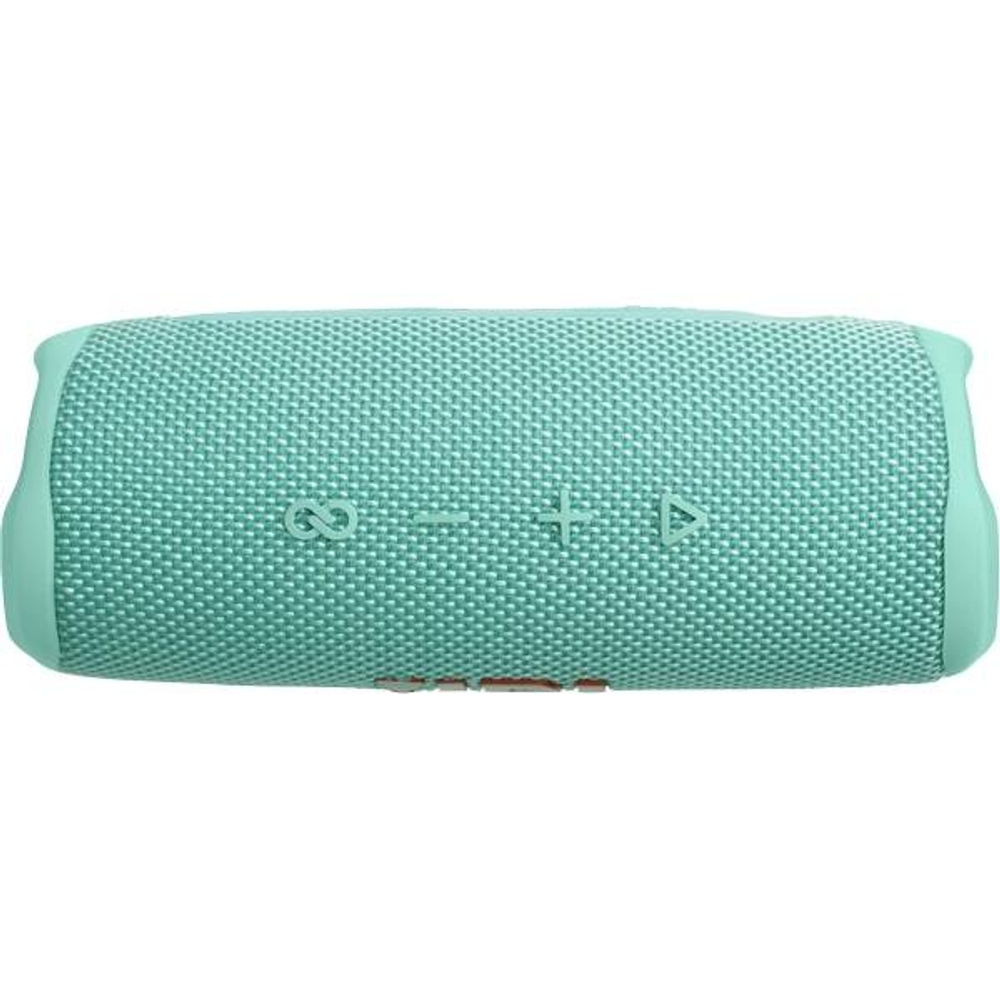 JBL Flip 6 Mint