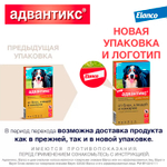 Адвантикс для собак 40-60 кг упаковка (4 пипетки)