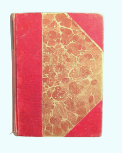 Антикварная книга Редьярд Киплинг "КИМ" 1901 г. Лейпциг.