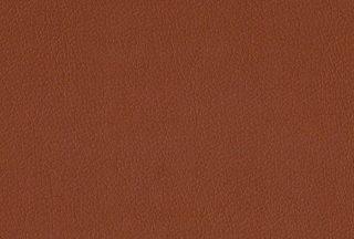 Искусственная кожа Ecotex (Экотекс) 3012 коричневый