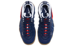 Кроссовки Nike Foamposite Pro (Женская размерная сетка)