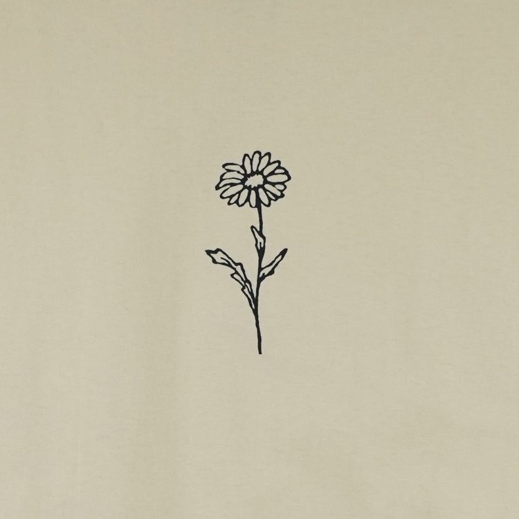 Футболка мужская Obey Daisy артикул:165262778 - купить в магазине Дайс