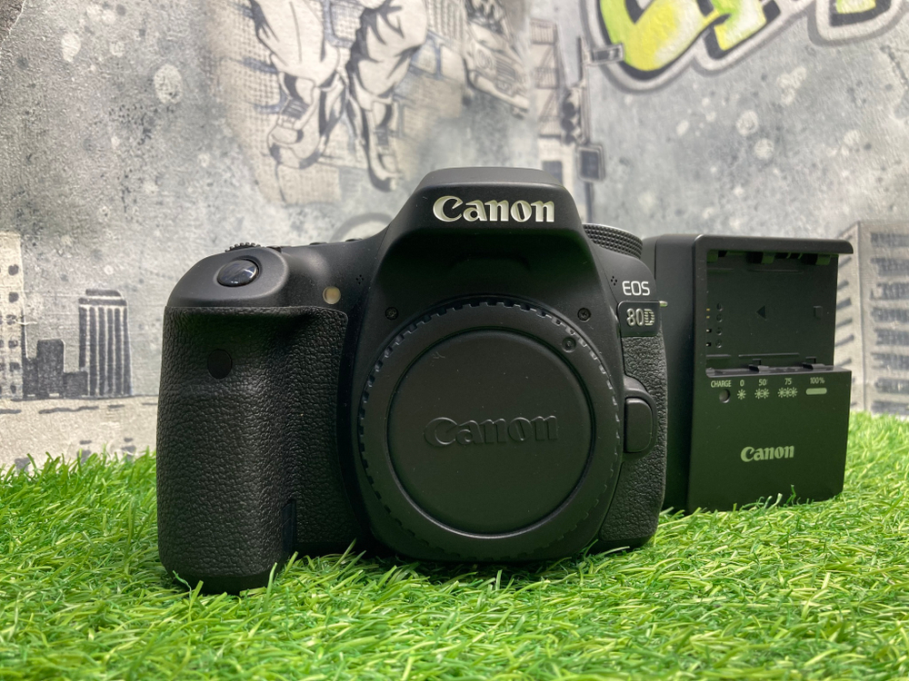 Canon 80D 4.000 кадров