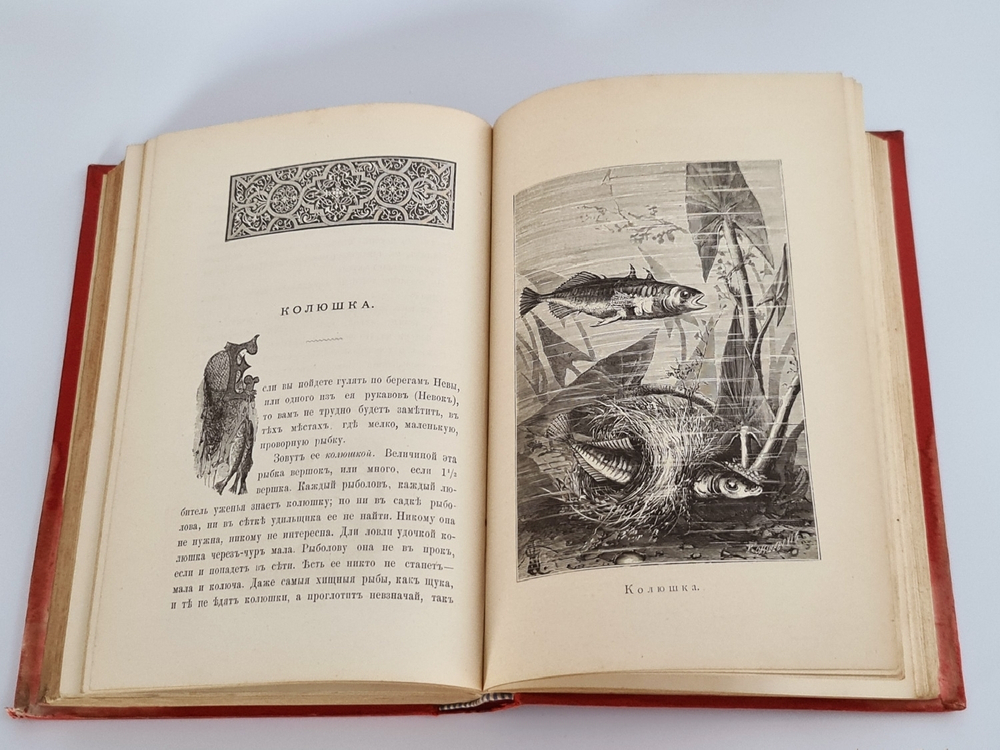 "Из жизни русской природы. Зоологические очерки и рассказы". М.Н.Богданов. 1889г.